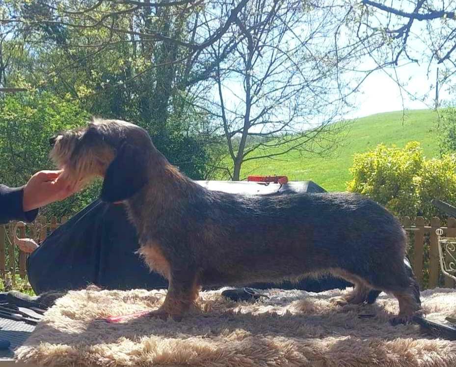 Urfée de l'antre des jacks