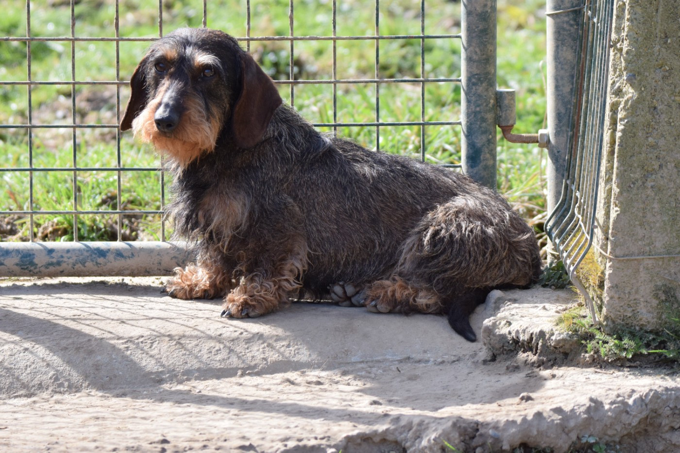 U'TEXAS (Sans Affixe)